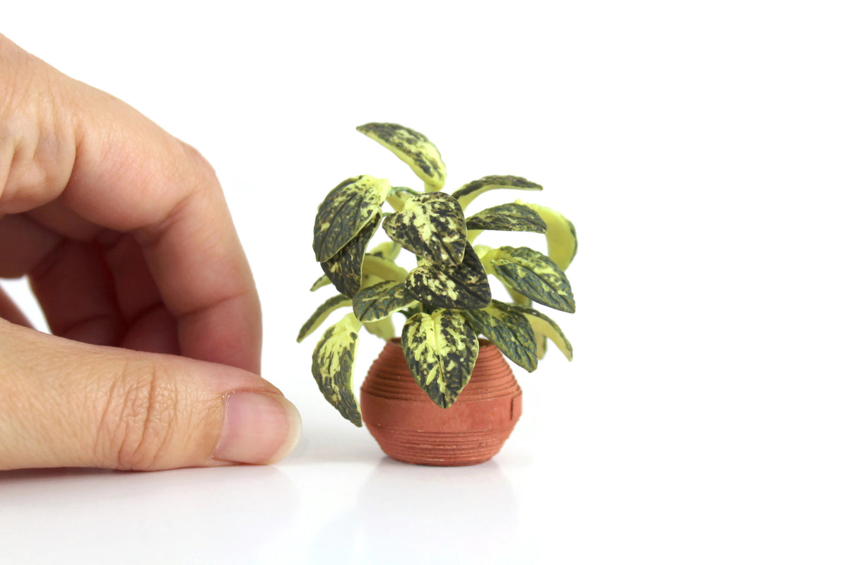 dieffenbachia dollhouse Vintage 1:12 Miniature Dollhouse Dieffenbachia or Dumb Cane Houseplant
