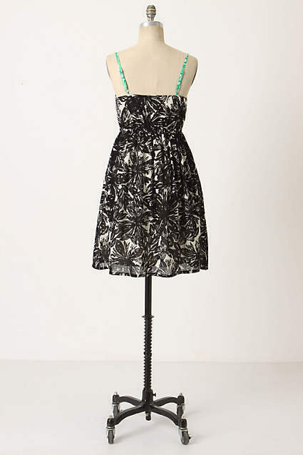 Anthropologie Black & White Floral 