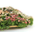 Artisan-Made Vintage 1:12 Miniature Dollhouse Flower Bed with Grass & Stones