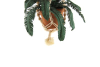 Artisan-Made Vintage 1:12 Miniature Dollhouse Potted Fern Houseplant in Macramé Hanger Signed by Artist