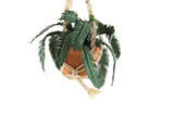 Artisan-Made Vintage 1:12 Miniature Dollhouse Potted Fern Houseplant in Macramé Hanger Signed by Artist