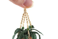 Artisan-Made Vintage 1:12 Miniature Dollhouse Potted Fern Houseplant in Macramé Hanger Signed by Artist