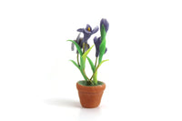 Artisan-Made Vintage 1:12 Miniature Dollhouse Blue Iris Potted Plant