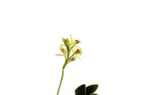 Artisan-Made Vintage 1:12 Miniature Dollhouse Green Orchid on Driftwood