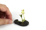 Artisan-Made Vintage 1:12 Miniature Dollhouse Green Orchid on Driftwood
