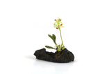 Artisan-Made Vintage 1:12 Miniature Dollhouse Green Orchid on Driftwood