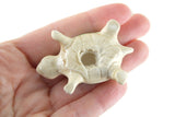 Vintage Beige Porcelain Turtle Figurine with Green & Brown Shell