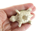 Vintage Beige Porcelain Turtle Figurine with Green & Brown Shell