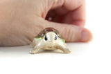 Vintage Beige Porcelain Turtle Figurine with Green & Brown Shell