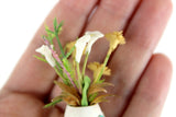 Vintage 1:12 Miniature Dollhouse White & Yellow Flower Arrangement in White & Blue Vase