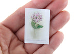 Vintage 1:12 Miniature Dollhouse Set of 3 Orchid-Themed Book, Magazine, & Poster