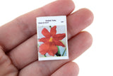 Vintage 1:12 Miniature Dollhouse Set of 3 Orchid-Themed Book, Magazine, & Poster