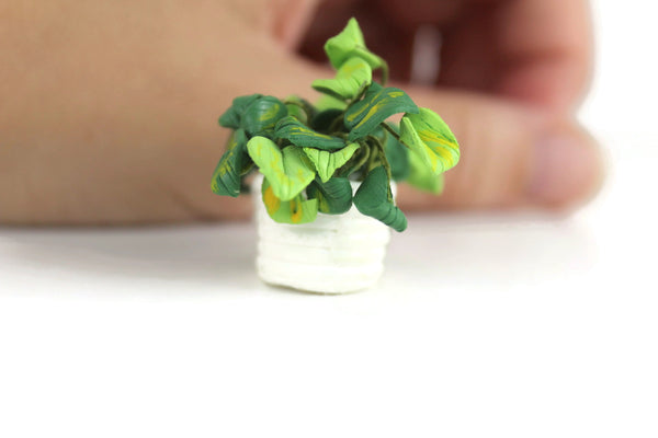 dollhouse philodendron Vintage 1:12 Miniature Dollhouse Philodendron or Pothos Houseplant in – The Mustard Dandelion