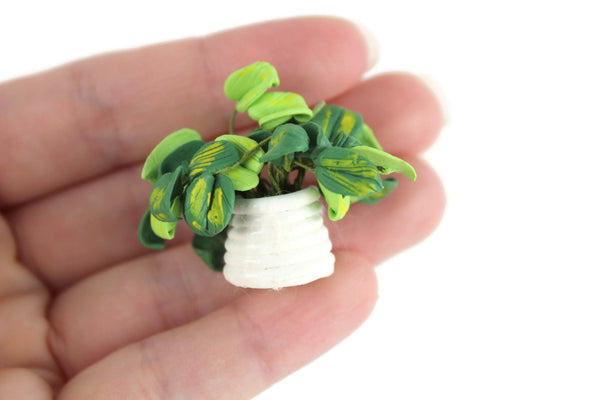 dollhouse philodendron Vintage 1:12 Miniature Dollhouse Philodendron or Pothos Houseplant in – The Mustard Dandelion
