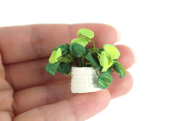 Vintage 1:12 Miniature Dollhouse Philodendron or Pothos Houseplant in White Pot