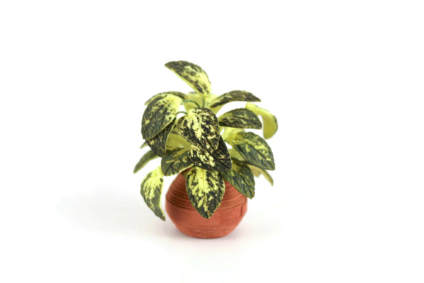 dieffenbachia mini Vintage 1:12 Miniature Dollhouse Dieffenbachia or Dumb Cane Houseplant in Terracotta Pot