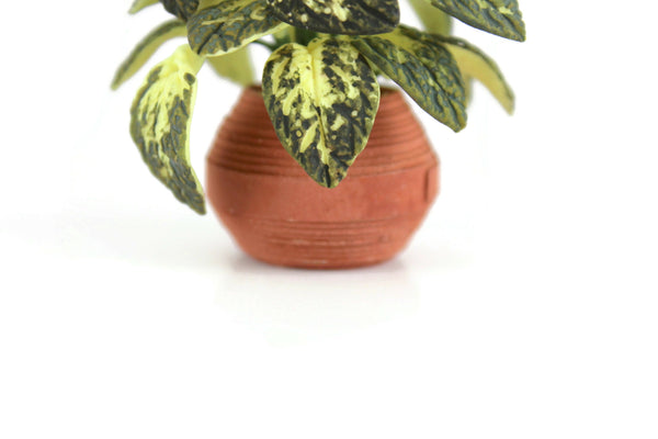 dieffenbachia in terracotta pot Vintage 1:12 Miniature Dollhouse Dieffenbachia or Dumb Cane Houseplant – The Mustard Dandelion