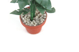 Vintage 1:12 Miniature Dollhouse Potted Floor Plant
