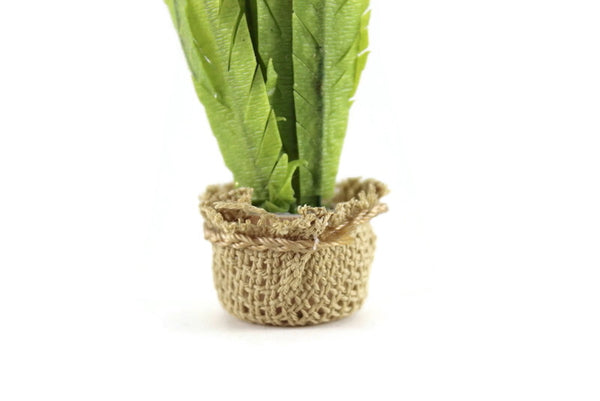 dollhouse miniature snake plant Vintage 1:12 Miniature Dollhouse Snake Plant in Burlap Pot – The Mustard Dandelion