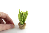 dollhouse snake plant Vintage 1:12 Miniature Dollhouse Snake Plant in Burlap Pot – The Mustard Dandelion