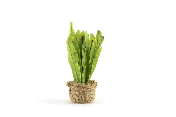dollhouse miniature snake plant Vintage 1:12 Miniature Dollhouse Snake Plant in Burlap Pot
