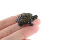 Vintage Small Green Mini Northern Diamondback Turtle Figurine by Land & Sea Collectibles