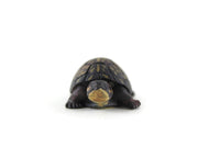 Vintage Small Green Mini Northern Diamondback Turtle Figurine by Land & Sea Collectibles