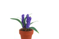 Vintage 1:12 Miniature Dollhouse Purple Hyacinth Potted Plant