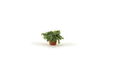 Artisan-Made Vintage Small Scale Miniature Dollhouse Potted Houseplant & Greeting Card Set