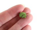 Artisan-Made Vintage Small Scale Miniature Dollhouse Potted Houseplant & Greeting Card Set