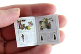 Vintage 1:12 Miniature Dollhouse Fully Illustrated Children's Book Set by Kate Greenaway