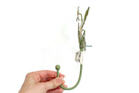 Rare Anthropologie Green & White Metal Painted "Daisy Wall Hook"