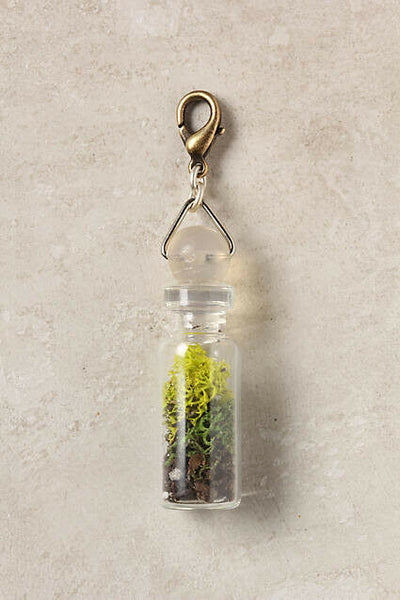 New Anthropologie "The Collector's Charm Moss Terrarium" Charm Pendant, Originally $28