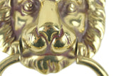 Vintage Brass Lion Head Door Knocker with Hardware