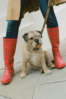 New Anthropologie "Colloquial Rain Boots" in Call Me, Red, Telephone Print, Size 9