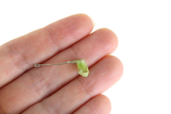 Vintage 1:12 Miniature Dollhouse Aquarium Fish Net The Mustard Dandelion Vintage 1:12 Miniature Dollhouse Aquarium Fish Net The Mustard Dandelion