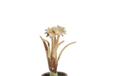Vintage 1:12 Miniature Dollhouse Metal Flower in Flower Pot