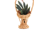 Vintage 1:12 Miniature Dollhouse Houseplant in Wicker Basket