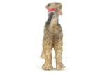 Miniature Dollhouse 1:12 Pet Schnauzer Dog Figurine