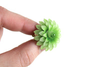 Vintage Green Celluloid Chrysanthemum Flower Clip-On Earrings