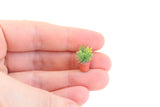 Vintage Half Scale 1:24 Miniature Dollhouse Potted Fern Houseplant