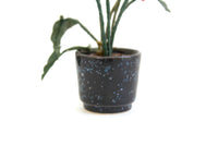 Vintage 1:12 Miniature Dollhouse Anthurium Potted Plant