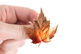 Vintage Copper & Orange Preserved Maple Leaf Brooch