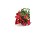 Vintage 1:12 Miniature Dollhouse Red Flowering Shrub or Tree