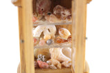 Vintage 1:12 Miniature Dollhouse Wooden Cabinet with Seashell Collection