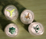 Modcloth "Tastefull Terrain Shaker Set" Set of 4 Tree-Themed Spice Shakers
