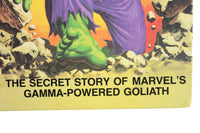 Vintage The Incredible Hulk The Secret Story of Marvel's Gamma-Powered Goliath Storybook by David Anthony Kraft