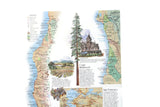 Vintage 1993 National Geographic Double-Sided Wall Map of California, USA