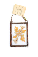 Vintage Framed Pressed Dried Flower Wall Hanging