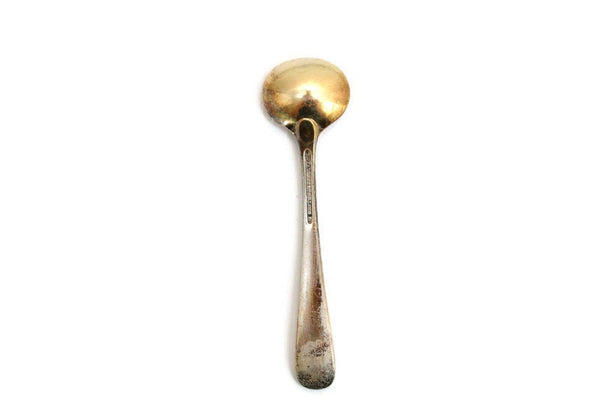 Antik Silver Salt Spoon